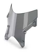 TINTED WINDSCREEN